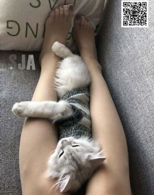 连续剧大全免费_1080P在线视频播放